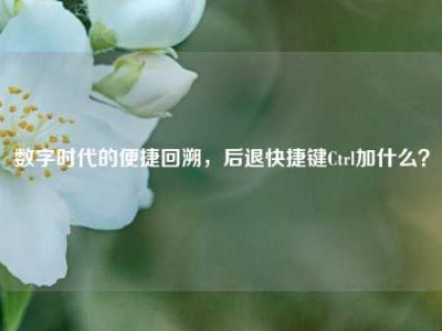 数字时代的便捷回溯，后退快捷键Ctrl加什么？