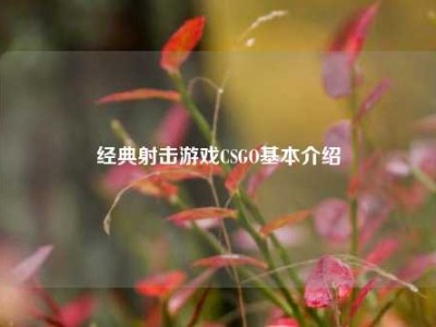 经典射击游戏CSGO基本介绍