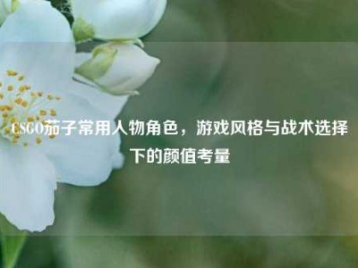 CSGO茄子常用人物角色，游戏风格与战术选择下的颜值考量