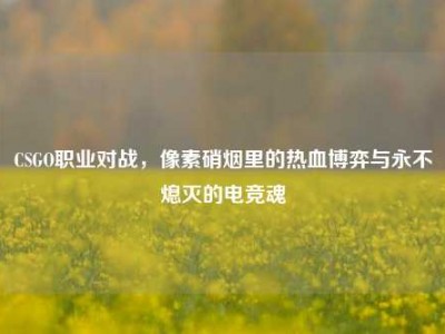 CSGO职业对战，像素硝烟里的热血博弈与永不熄灭的电竞魂