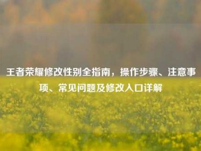 王者荣耀修改性别全指南，操作步骤、注意事项、常见问题及修改入口详解