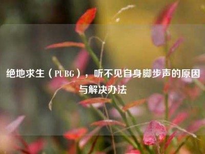 绝地求生（PUBG），听不见自身脚步声的原因与解决办法
