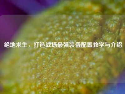 绝地求生，打造战场最强装备配置教学与介绍