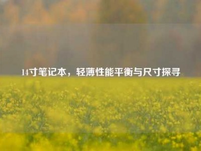 14寸笔记本，轻薄性能平衡与尺寸探寻