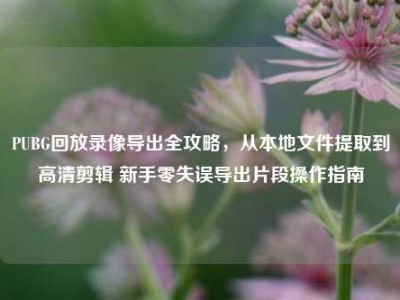 PUBG回放录像导出全攻略，从本地文件提取到高清剪辑 新手零失误导出片段操作指南
