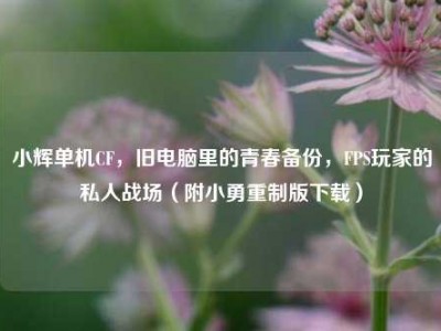 小辉单机CF，旧电脑里的青春备份，FPS玩家的私人战场（附小勇重制版下载）