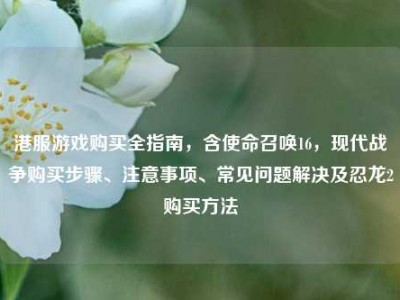 港服游戏购买全指南，含使命召唤16，现代战争购买步骤、注意事项、常见问题解决及忍龙2购买方法