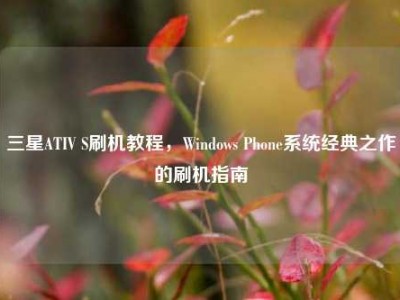 三星ATIV S刷机教程，Windows Phone系统经典之作的刷机指南