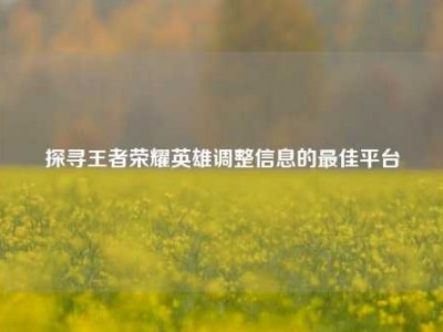 探寻王者荣耀英雄调整信息的最佳平台