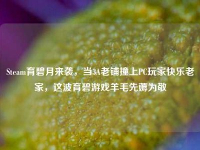 Steam育碧月来袭，当3A老铺撞上PC玩家快乐老家，这波育碧游戏羊毛先薅为敬