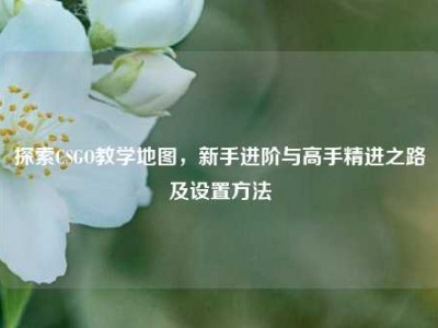 探索CSGO教学地图，新手进阶与高手精进之路及设置方法