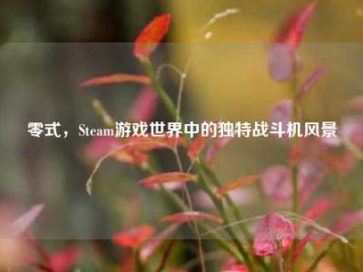 零式，Steam游戏世界中的独特战斗机风景