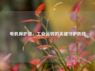 电机保护器，工业运转的关键守护防线