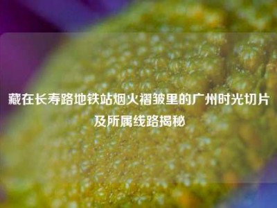 藏在长寿路地铁站烟火褶皱里的广州时光切片及所属线路揭秘
