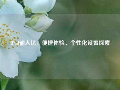 iPad输入法，便捷体验、个性化设置探索