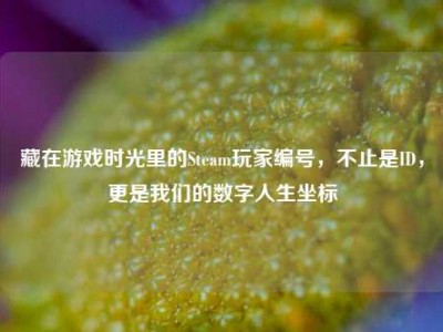 藏在游戏时光里的Steam玩家编号，不止是ID，更是我们的数字人生坐标
