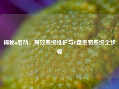 揭秘u启动，高效系统维护与U盘重装系统全步骤