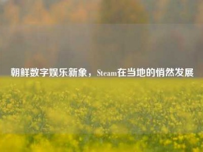 朝鲜数字娱乐新象，Steam在当地的悄然发展