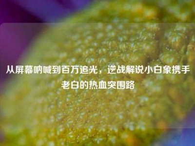 从屏幕呐喊到百万追光，逆战解说小白象携手老白的热血突围路