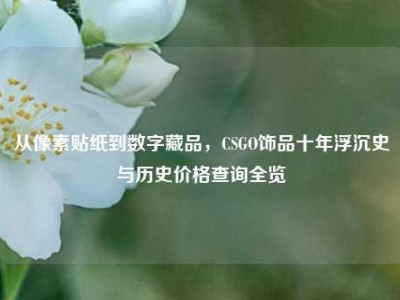 从像素贴纸到数字藏品，CSGO饰品十年浮沉史与历史价格查询全览