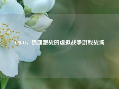 CSGO，热血激战的虚拟战争游戏战场