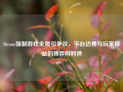 Steam强制游戏全屏引争议，平台边界与玩家权益的博弈何时休