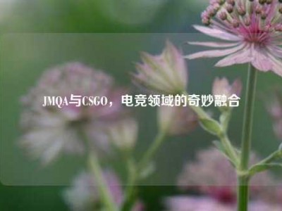 JMQA与CSGO，电竞领域的奇妙融合
