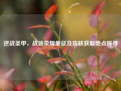 逆战圣甲，战场荣耀象征及皮肤获取地点探寻
