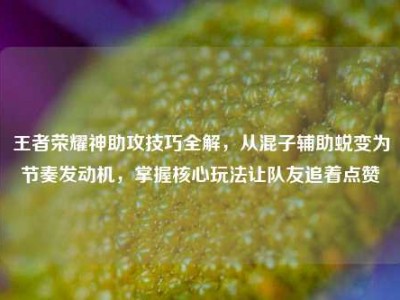 王者荣耀神助攻技巧全解，从混子辅助蜕变为节奏发动机，掌握核心玩法让队友追着点赞
