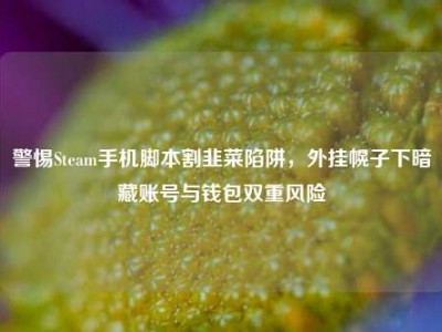 警惕Steam手机脚本割韭菜陷阱，外挂幌子下暗藏账号与钱包双重风险