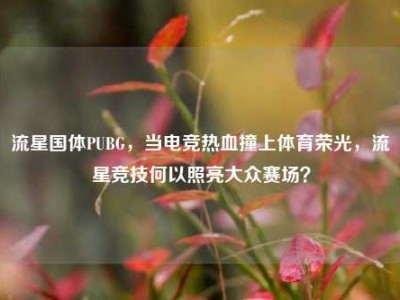 流星国体PUBG，当电竞热血撞上体育荣光，流星竞技何以照亮大众赛场？