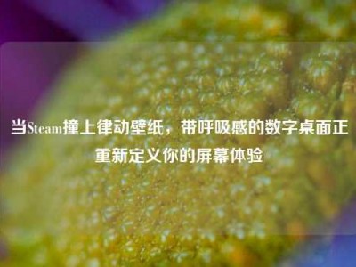 当Steam撞上律动壁纸，带呼吸感的数字桌面正重新定义你的屏幕体验