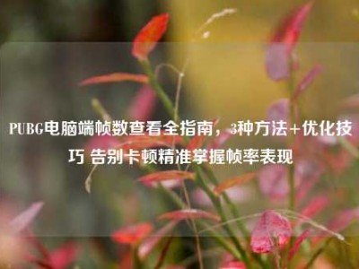 PUBG电脑端帧数查看全指南，3种方法+优化技巧 告别卡顿精准掌握帧率表现