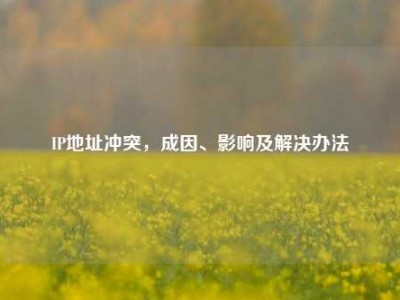 IP地址冲突，成因、影响及解决办法