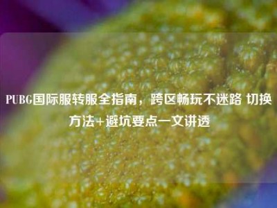 PUBG国际服转服全指南，跨区畅玩不迷路 切换方法+避坑要点一文讲透