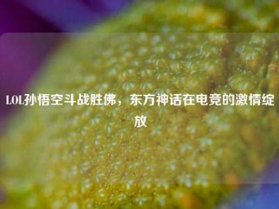 LOL孙悟空斗战胜佛，东方神话在电竞的激情绽放