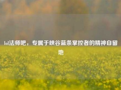 lol法师吧，专属于峡谷蓝条掌控者的精神自留地