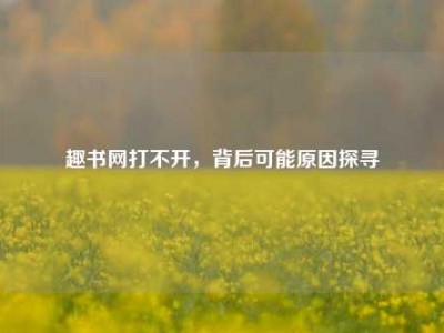 趣书网打不开，背后可能原因探寻