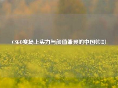 CSGO赛场上实力与颜值兼具的中国帅哥