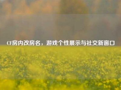 CF房内改房名，游戏个性展示与社交新窗口