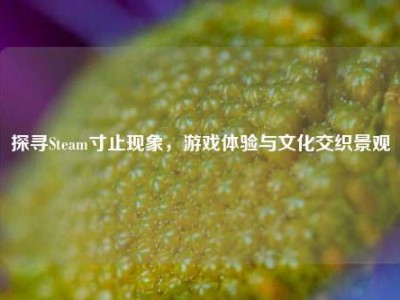 探寻Steam寸止现象，游戏体验与文化交织景观