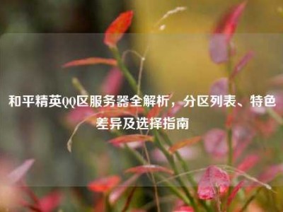 和平精英QQ区服务器全解析，分区列表、特色差异及选择指南
