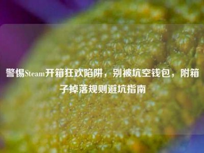 警惕Steam开箱狂欢陷阱，别被坑空钱包，附箱子掉落规则避坑指南