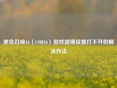 使命召唤16（COD16）游戏滤镜设置打不开的解决办法