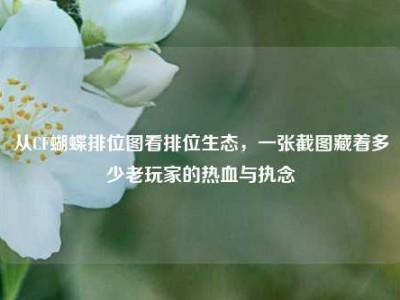 从CF蝴蝶排位图看排位生态，一张截图藏着多少老玩家的热血与执念