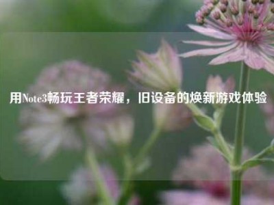 用Note3畅玩王者荣耀，旧设备的焕新游戏体验