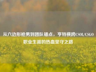 从六边形枪男到团队锚点，亨特横跨CSOL/CSGO职业生涯的热血坚守之路