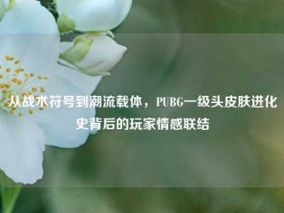 从战术符号到潮流载体，PUBG一级头皮肤进化史背后的玩家情感联结