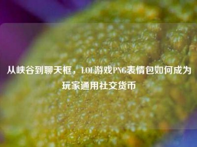 从峡谷到聊天框，LOL游戏PNG表情包如何成为玩家通用社交货币