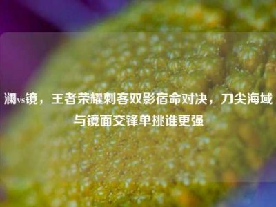 澜vs镜，王者荣耀刺客双影宿命对决，刀尖海域与镜面交锋单挑谁更强